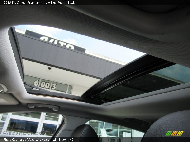 Micro Blue Pearl / Black 2019 Kia Stinger Premium