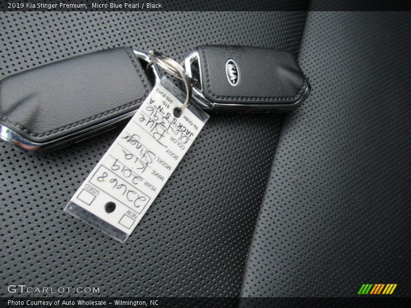 Micro Blue Pearl / Black 2019 Kia Stinger Premium