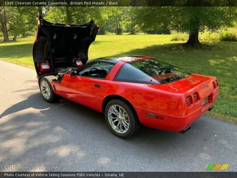 Brilliant Red Metallic / Black 1995 Chevrolet Corvette Convertible