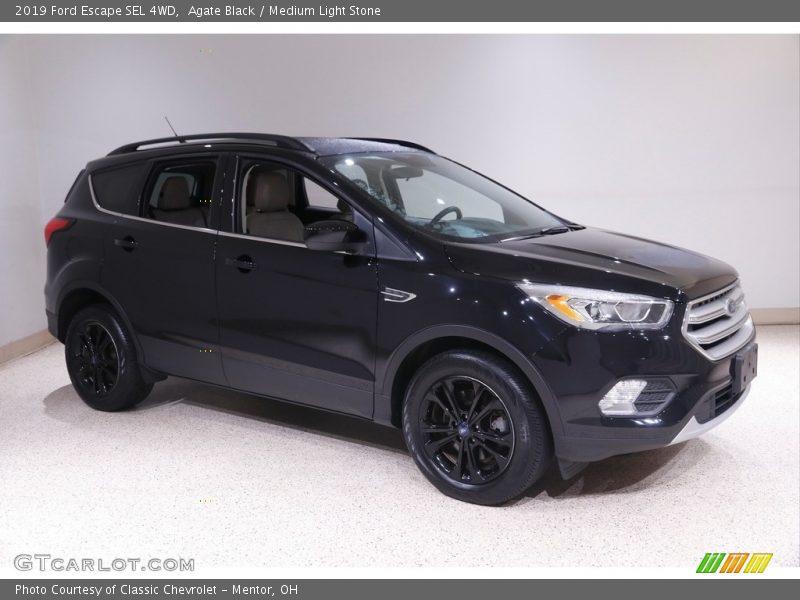 Agate Black / Medium Light Stone 2019 Ford Escape SEL 4WD