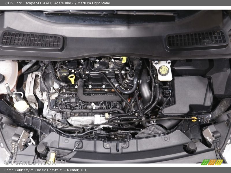 Agate Black / Medium Light Stone 2019 Ford Escape SEL 4WD