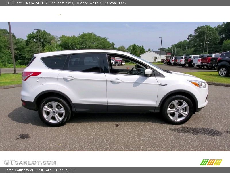 Oxford White / Charcoal Black 2013 Ford Escape SE 1.6L EcoBoost 4WD