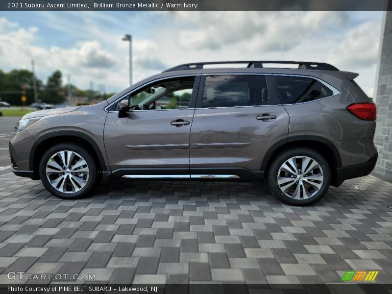  2021 Ascent Limited Brilliant Bronze Metallic