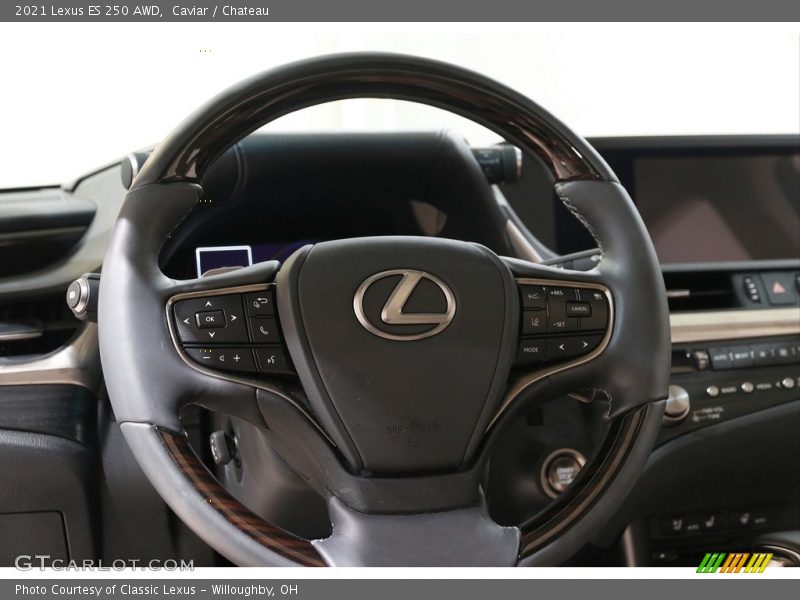  2021 ES 250 AWD Steering Wheel