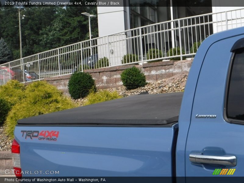 Cavalry Blue / Black 2019 Toyota Tundra Limited CrewMax 4x4