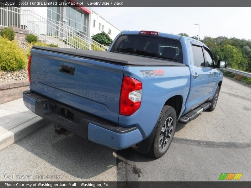 Cavalry Blue / Black 2019 Toyota Tundra Limited CrewMax 4x4
