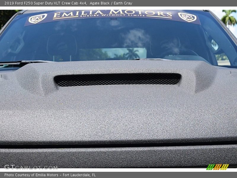 Agate Black / Earth Gray 2019 Ford F250 Super Duty XLT Crew Cab 4x4
