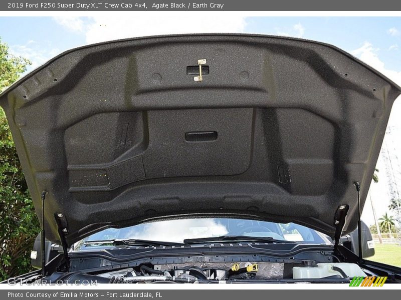 Agate Black / Earth Gray 2019 Ford F250 Super Duty XLT Crew Cab 4x4