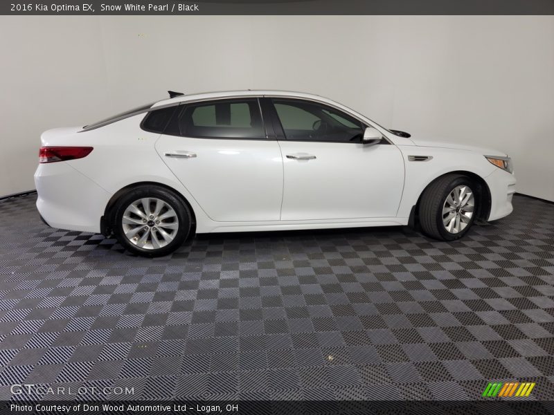 Snow White Pearl / Black 2016 Kia Optima EX