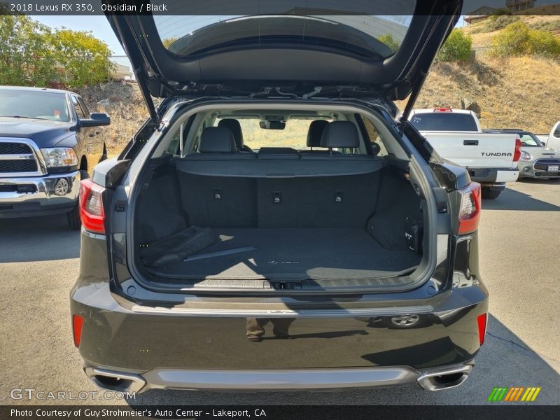 Obsidian / Black 2018 Lexus RX 350