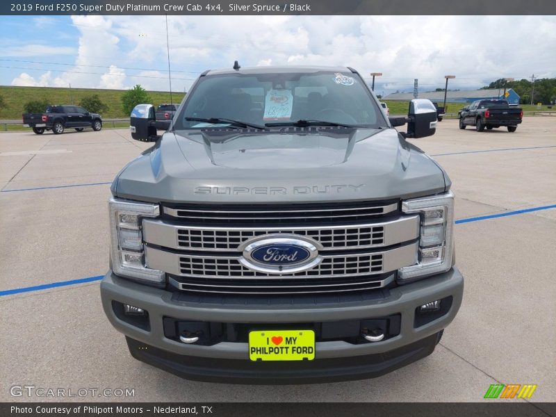 Silver Spruce / Black 2019 Ford F250 Super Duty Platinum Crew Cab 4x4