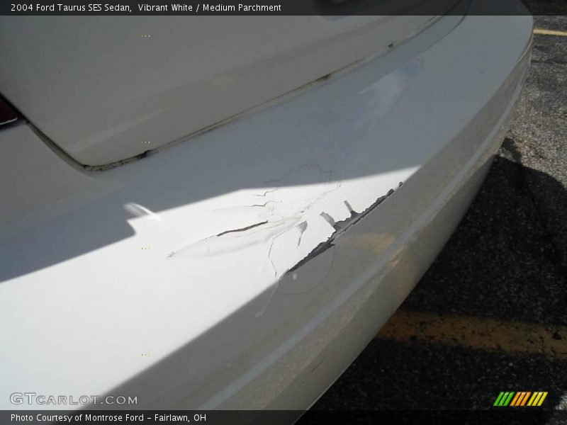 Vibrant White / Medium Parchment 2004 Ford Taurus SES Sedan