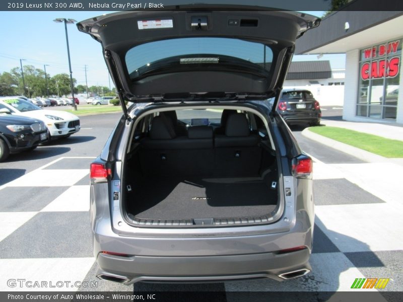 Nebula Gray Pearl / Black 2019 Lexus NX 300 AWD