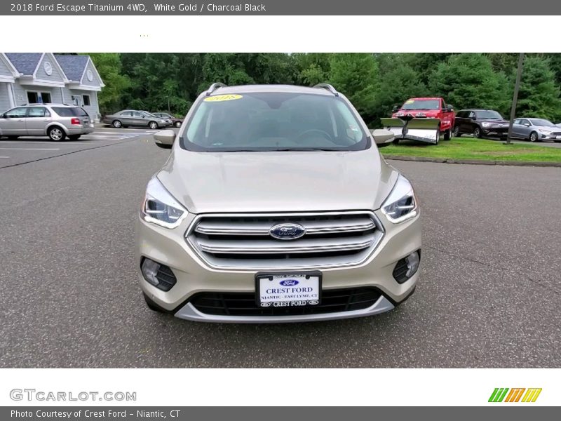 White Gold / Charcoal Black 2018 Ford Escape Titanium 4WD