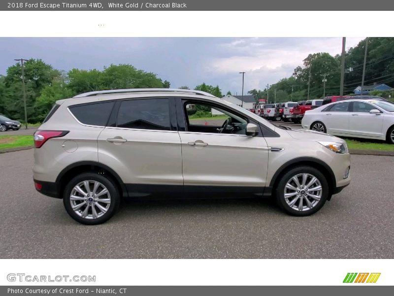 White Gold / Charcoal Black 2018 Ford Escape Titanium 4WD