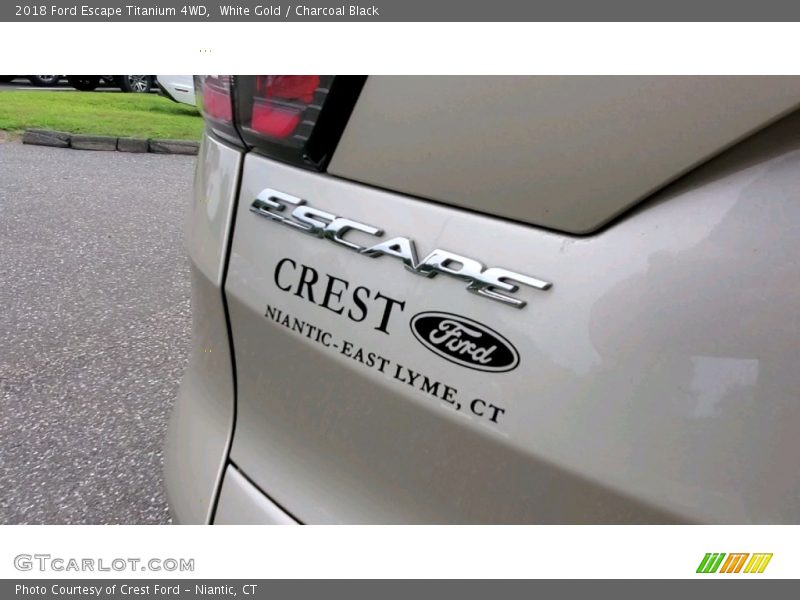 White Gold / Charcoal Black 2018 Ford Escape Titanium 4WD