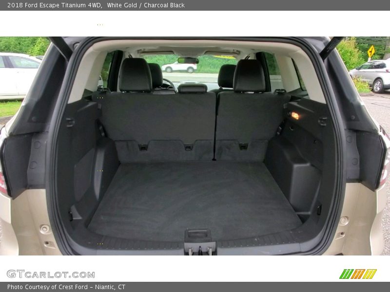 White Gold / Charcoal Black 2018 Ford Escape Titanium 4WD