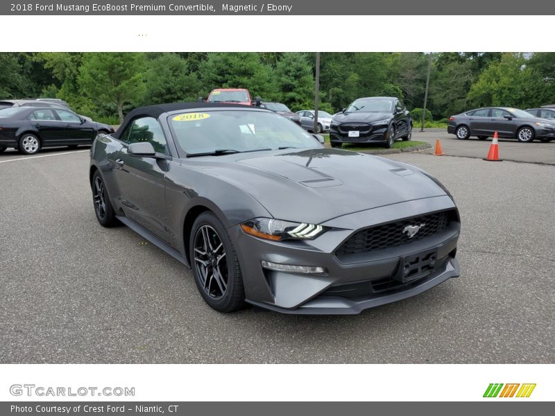 Magnetic / Ebony 2018 Ford Mustang EcoBoost Premium Convertible