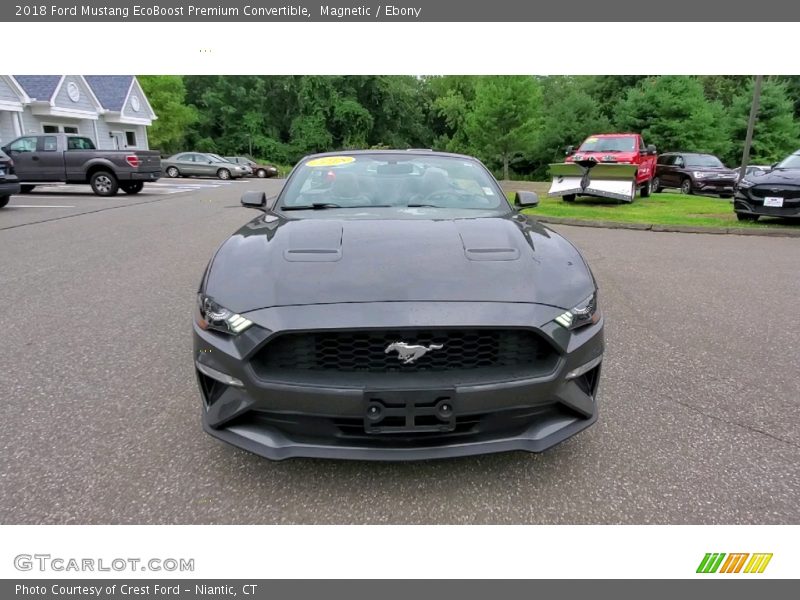 Magnetic / Ebony 2018 Ford Mustang EcoBoost Premium Convertible