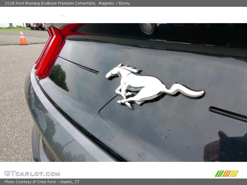 Magnetic / Ebony 2018 Ford Mustang EcoBoost Premium Convertible