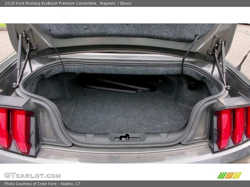 Magnetic / Ebony 2018 Ford Mustang EcoBoost Premium Convertible