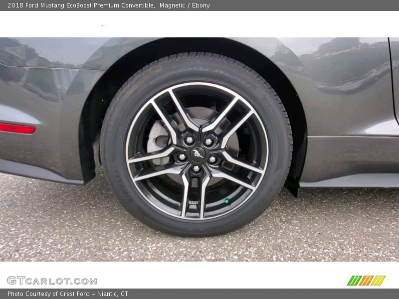 Magnetic / Ebony 2018 Ford Mustang EcoBoost Premium Convertible