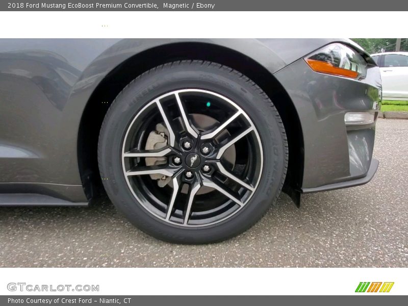 Magnetic / Ebony 2018 Ford Mustang EcoBoost Premium Convertible