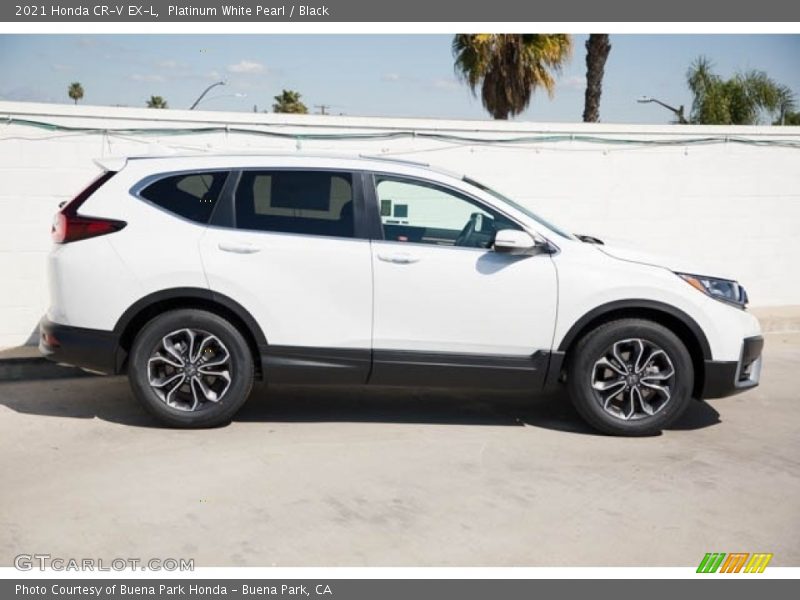 Platinum White Pearl / Black 2021 Honda CR-V EX-L