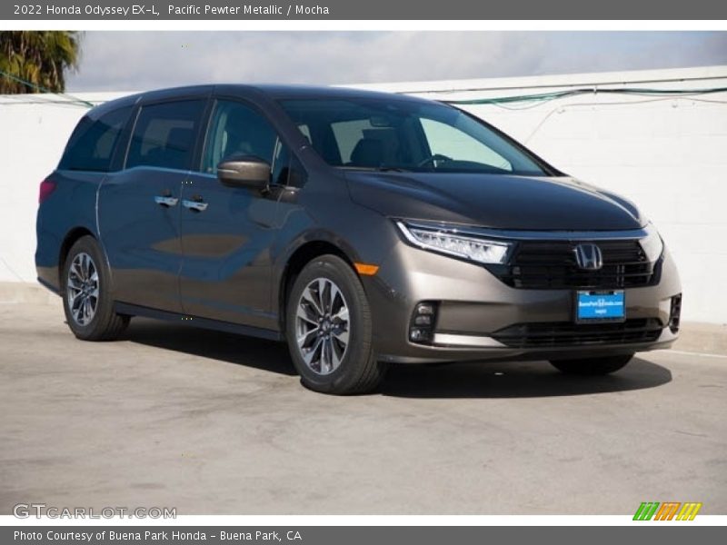 Pacific Pewter Metallic / Mocha 2022 Honda Odyssey EX-L
