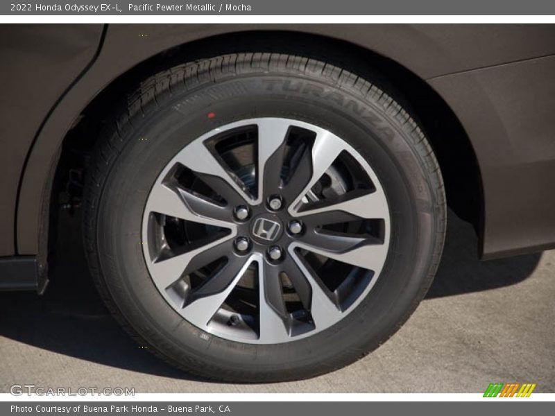 Pacific Pewter Metallic / Mocha 2022 Honda Odyssey EX-L