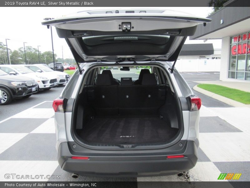Silver Sky Metallic / Black 2019 Toyota RAV4 LE