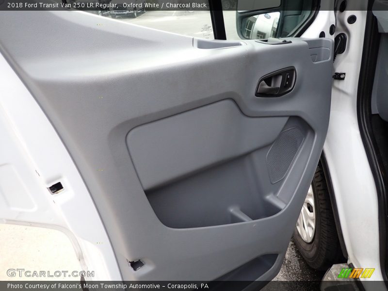 Door Panel of 2018 Transit Van 250 LR Regular