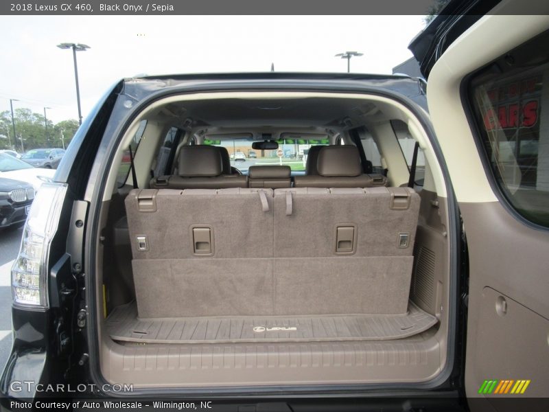 Black Onyx / Sepia 2018 Lexus GX 460