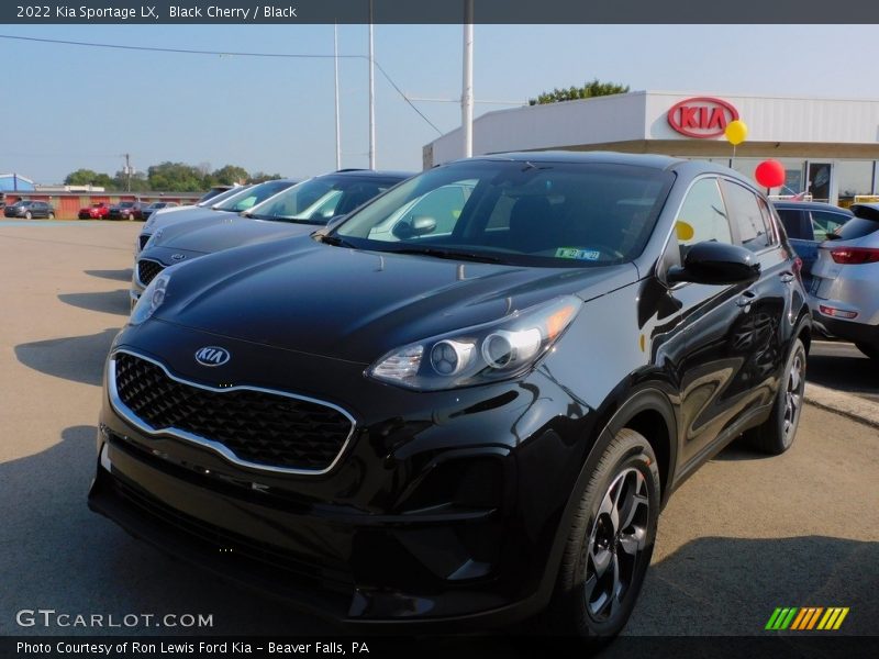 Black Cherry / Black 2022 Kia Sportage LX