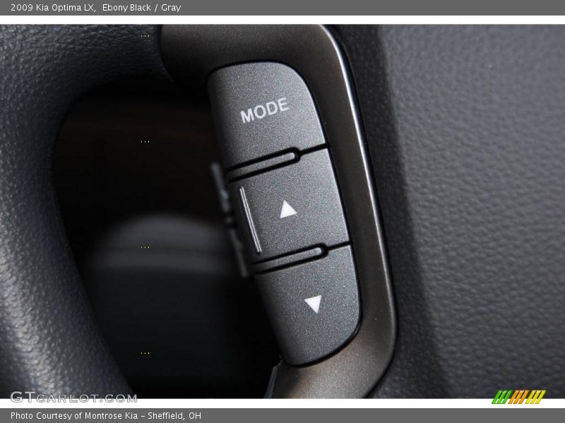Ebony Black / Gray 2009 Kia Optima LX