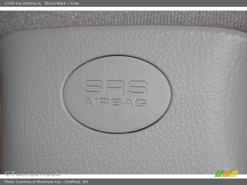 Ebony Black / Gray 2009 Kia Optima LX