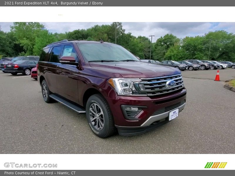 Burgundy Velvet / Ebony 2021 Ford Expedition XLT 4x4