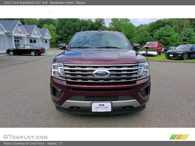 Burgundy Velvet / Ebony 2021 Ford Expedition XLT 4x4