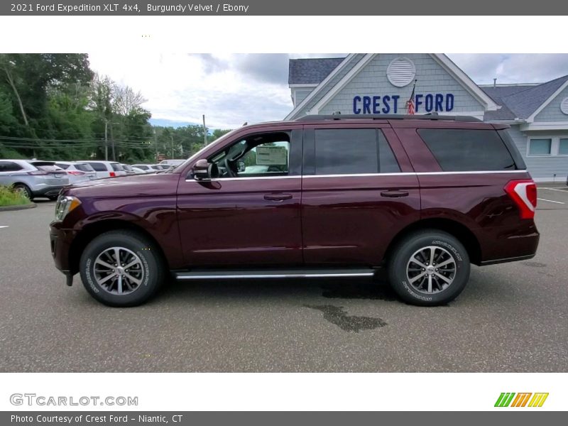 Burgundy Velvet / Ebony 2021 Ford Expedition XLT 4x4