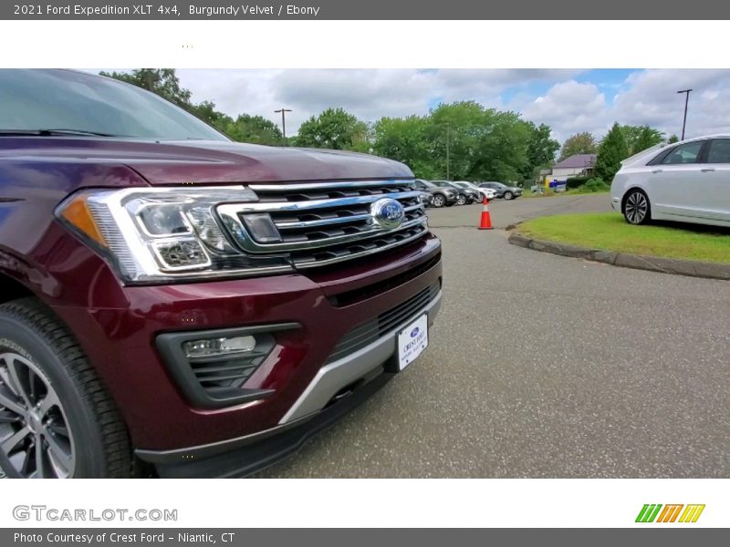 Burgundy Velvet / Ebony 2021 Ford Expedition XLT 4x4