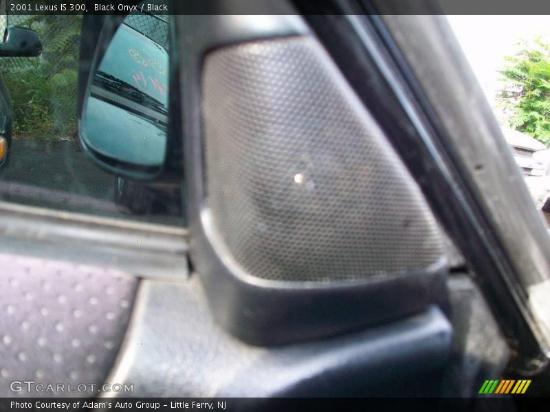 Black Onyx / Black 2001 Lexus IS 300