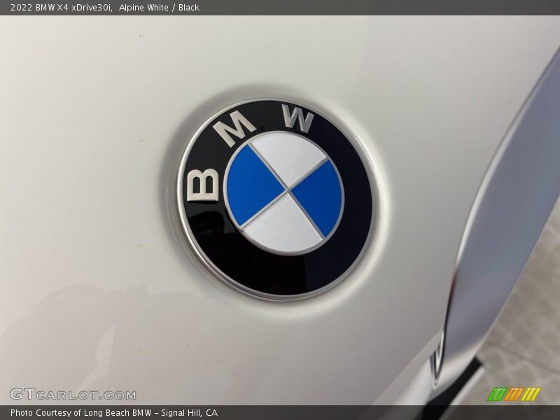 Alpine White / Black 2022 BMW X4 xDrive30i