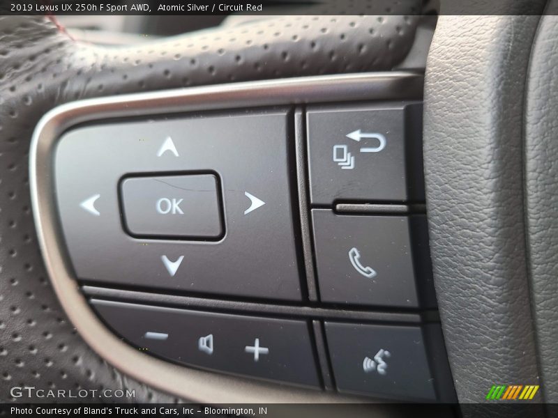 2019 UX 250h F Sport AWD Steering Wheel