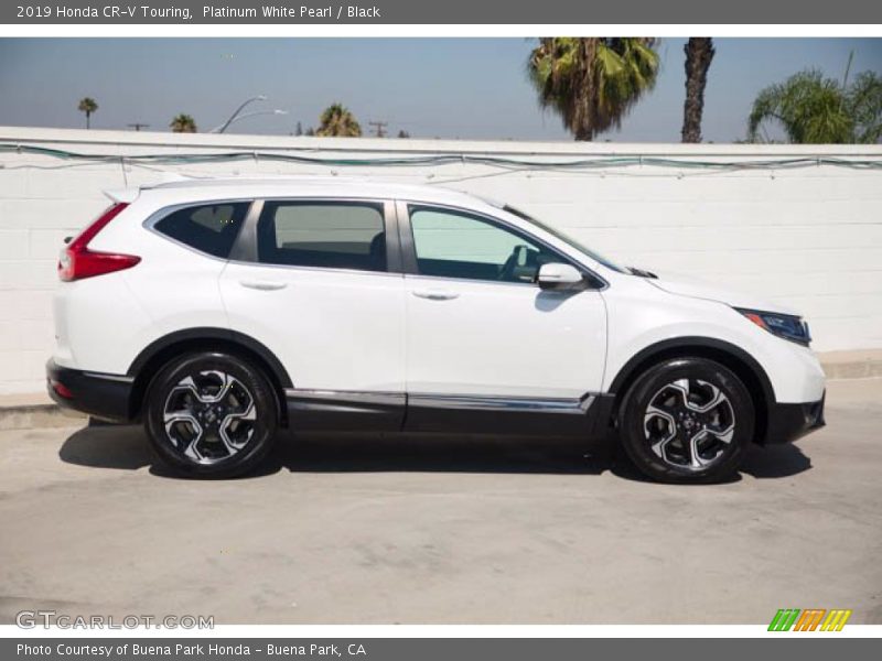 Platinum White Pearl / Black 2019 Honda CR-V Touring