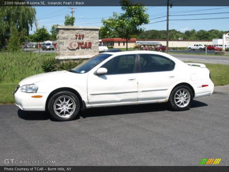 Icelandic Pearl / Black 2000 Nissan Maxima SE