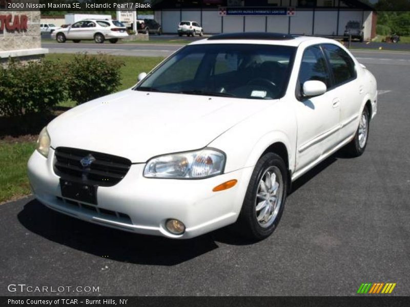 Icelandic Pearl / Black 2000 Nissan Maxima SE