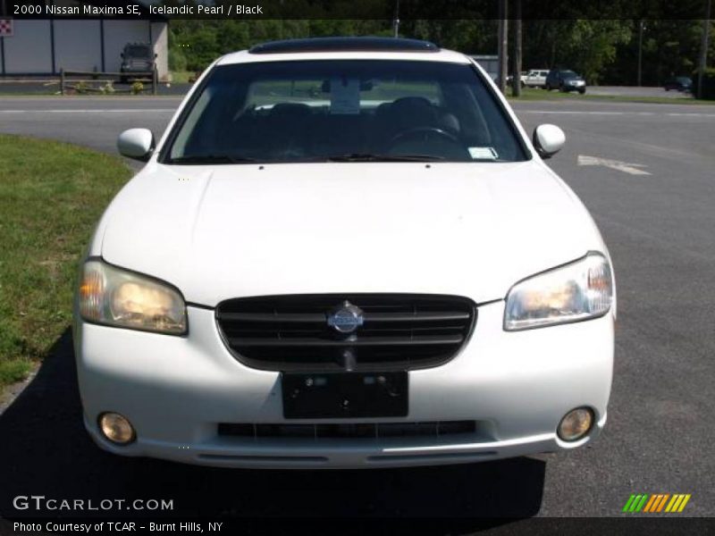 Icelandic Pearl / Black 2000 Nissan Maxima SE