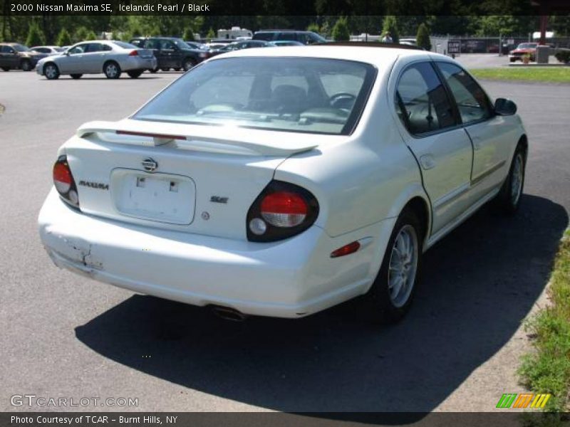 Icelandic Pearl / Black 2000 Nissan Maxima SE