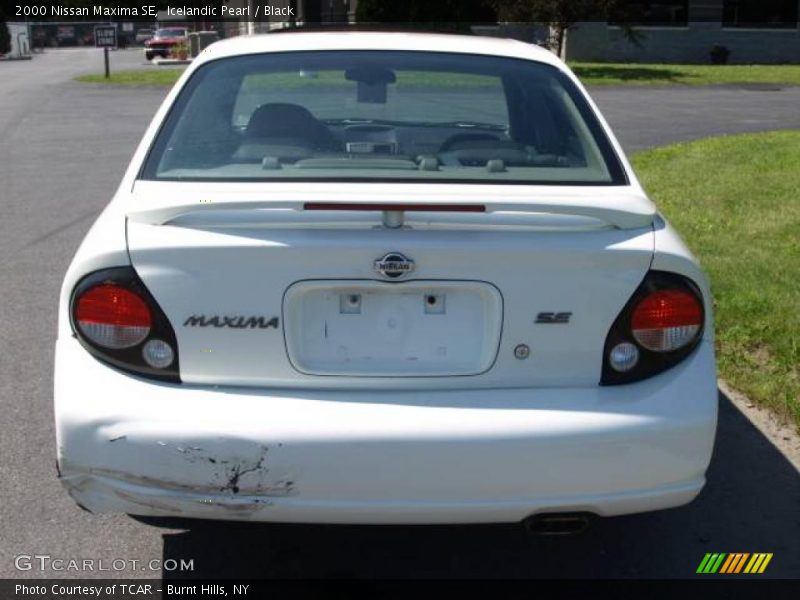 Icelandic Pearl / Black 2000 Nissan Maxima SE
