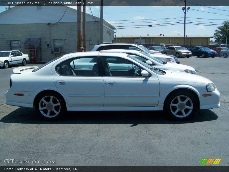 Icelandic White Pearl / Frost 2001 Nissan Maxima SE